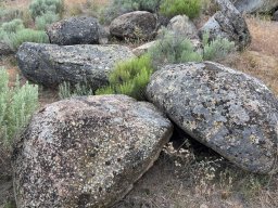 Elkhorn Granite Lichen Boulder